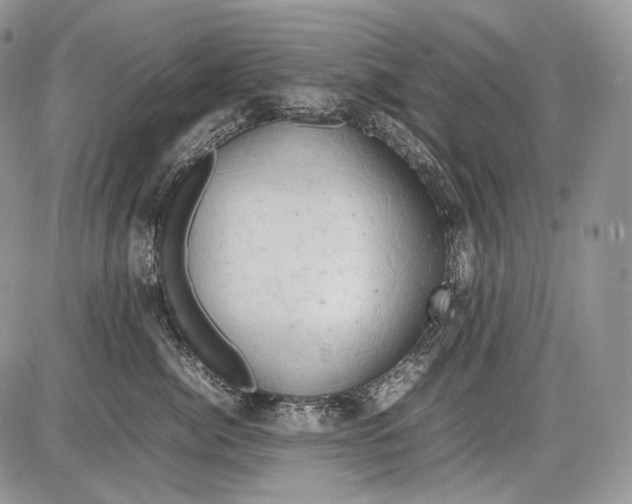 X0000086080764200704202151