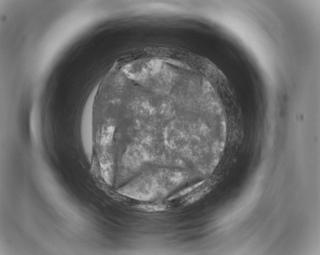 X0000086080765200704202151