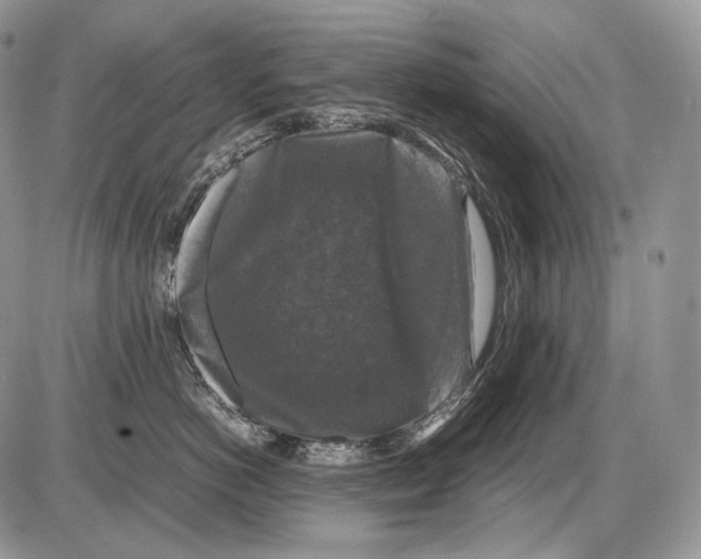 X0000086080766200704202151