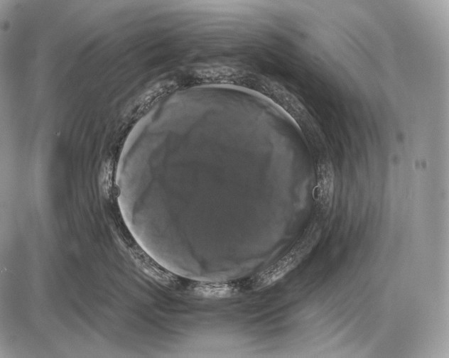 X0000086080767200704202151