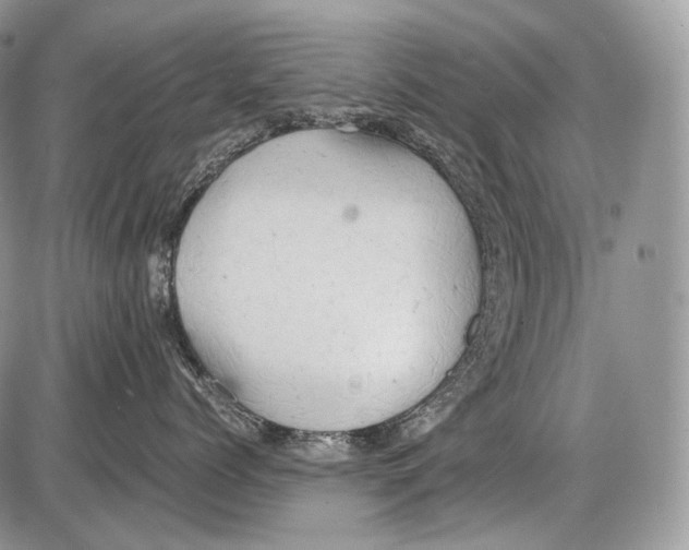 X0000086080768200704202151