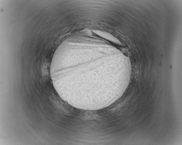 X0000086080770200704202150