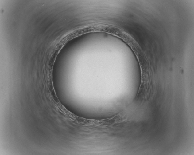 X0000086080773200704202150