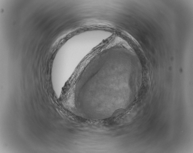 X0000086080775200704202150