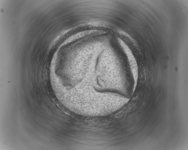 X0000086080776200704202150