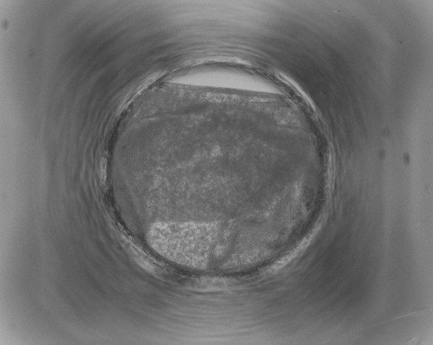 X0000086080777200704202150