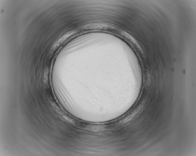 X0000086080778200704202150