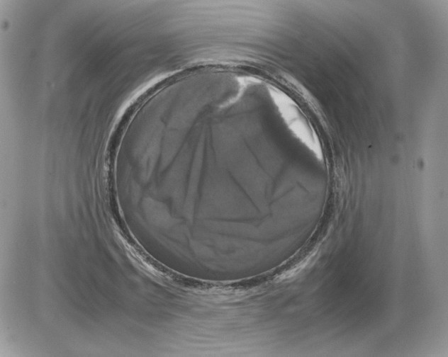 X0000086080779200704202150