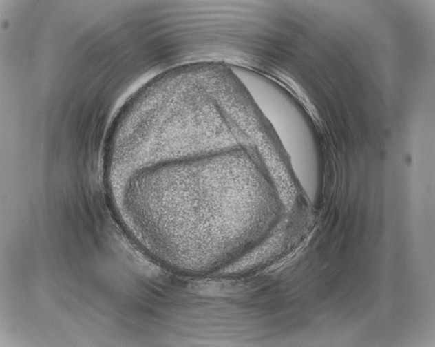 X0000086080780200704202150