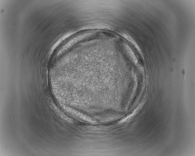 X0000086080781200704202150