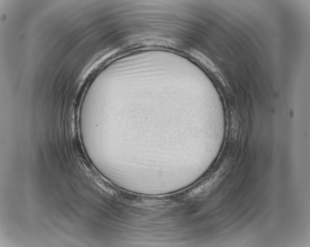 X0000086080782200704202150