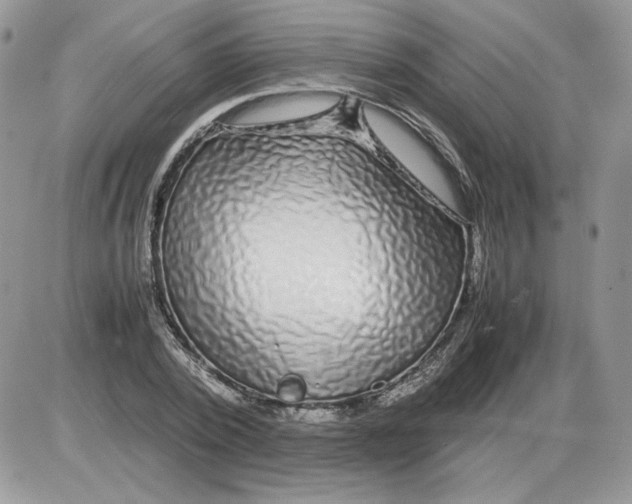 X0000086080784200704202150