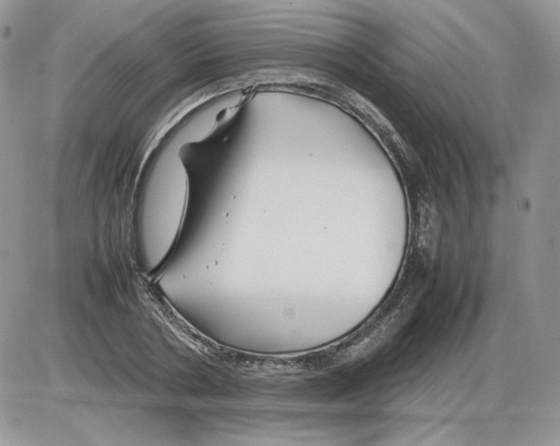 X0000086080786200704202150