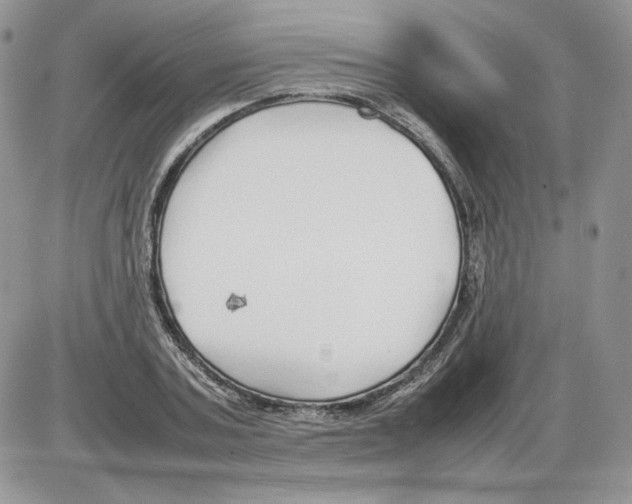 X0000086080787200704202150