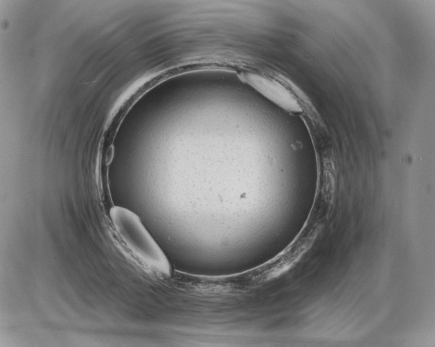 X0000086080788200704202150