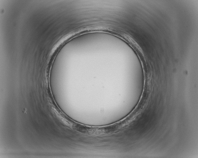 X0000086080789200704202150