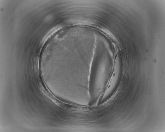 X0000086080790200704202150