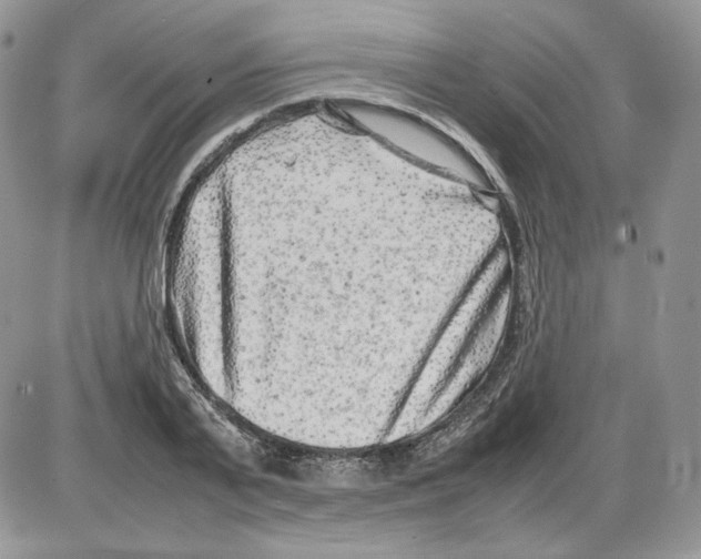 X0000086080791200704202150