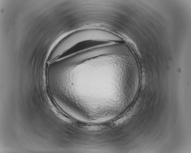 X0000086080792200704202150