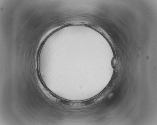 X0000086080795200704202150