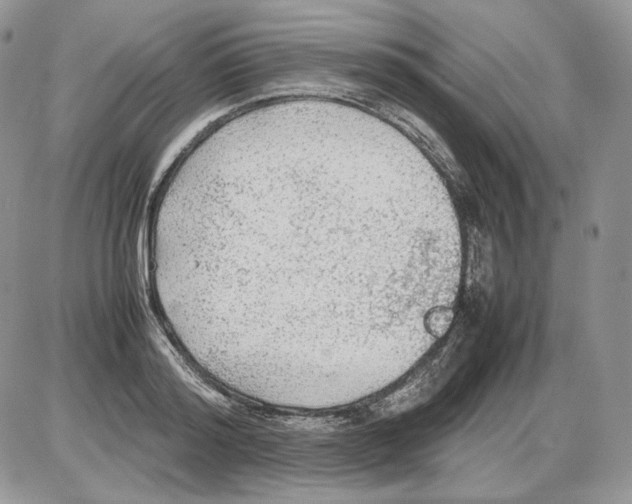 X0000086080796200704202150