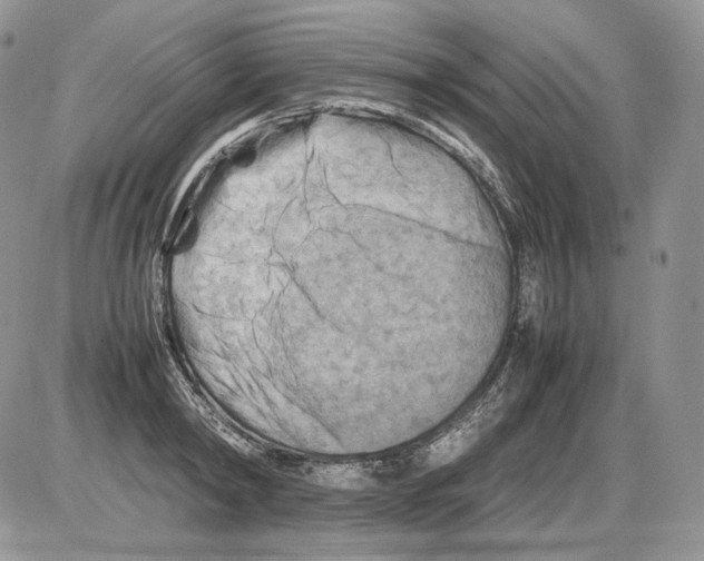 X0000086080798200704202150