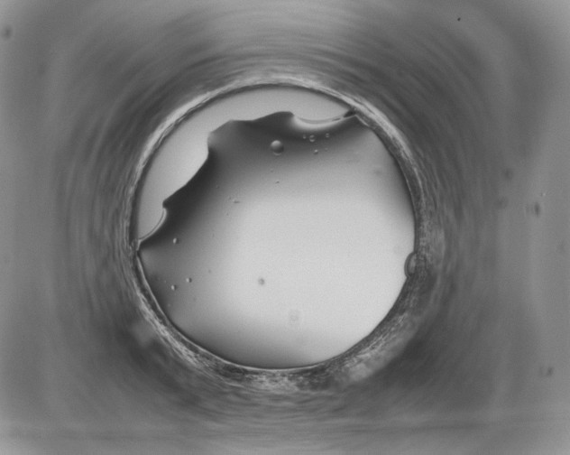 X0000086080799200704202150