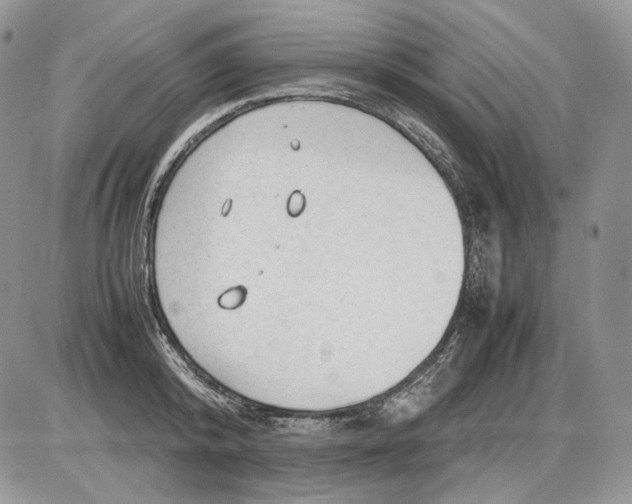 X0000086080800200704202150