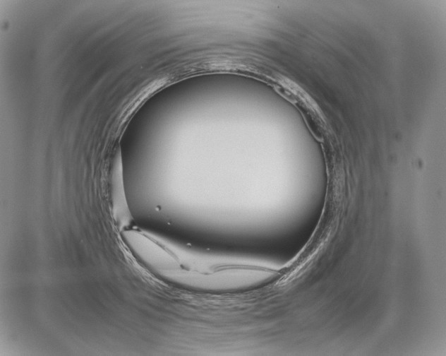 X0000086080801200704202150