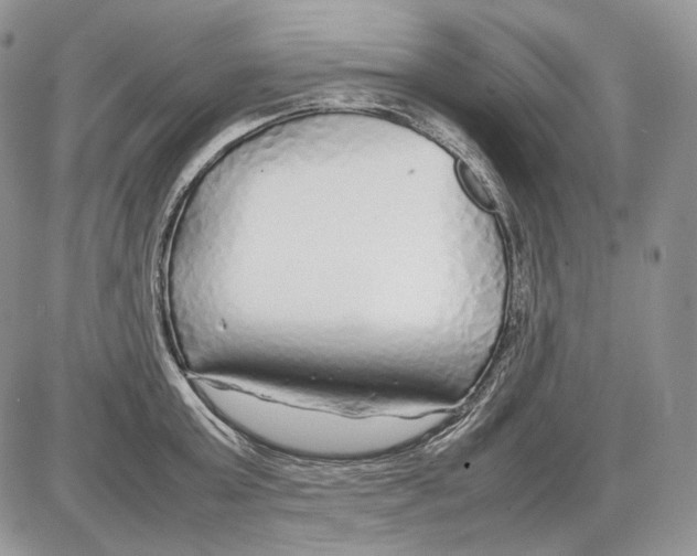 X0000086080803200704202150