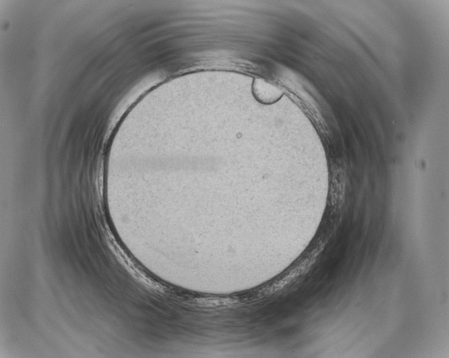 X0000086080804200704202150