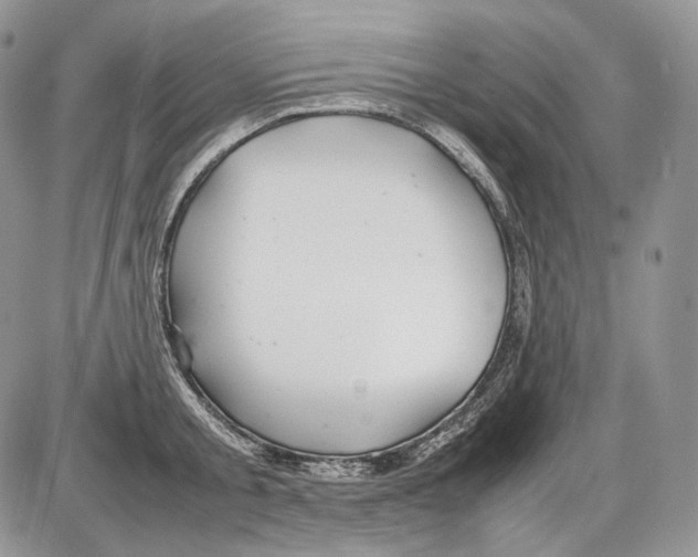 X0000086080805200704202150