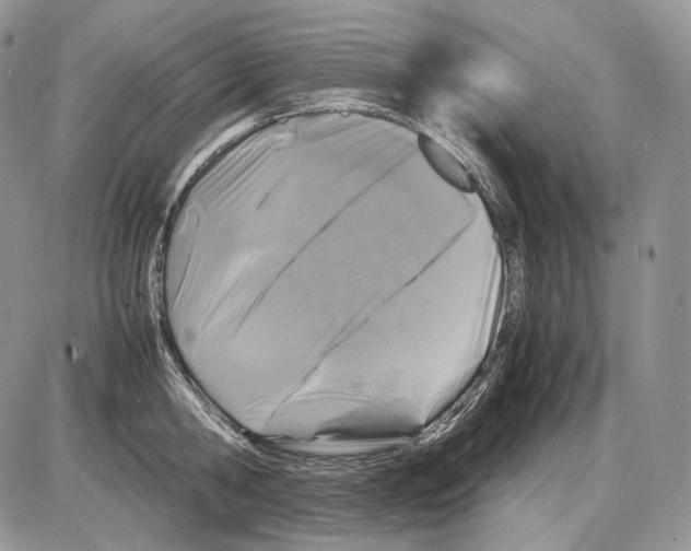 X0000086080806200704202150