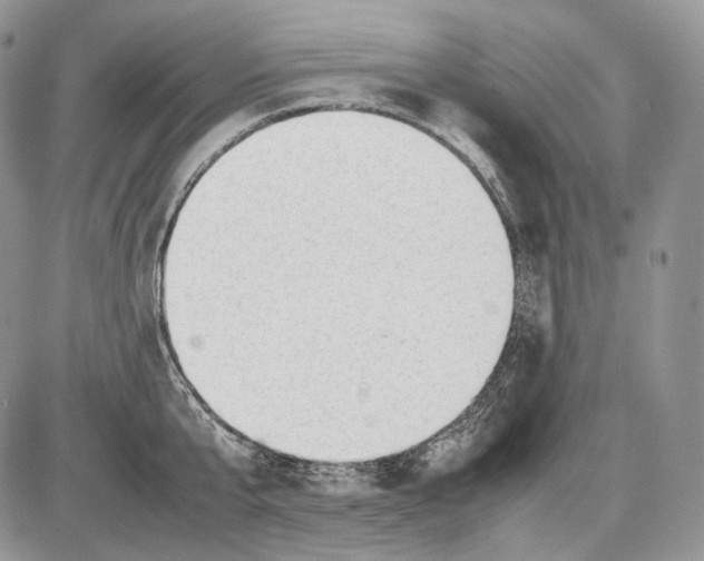 X0000086080807200704202150