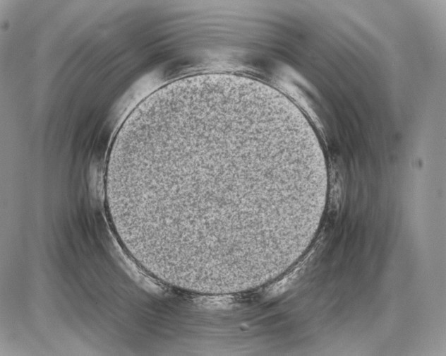 X0000086080810200704202149