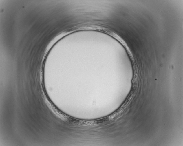 X0000086080811200704202149