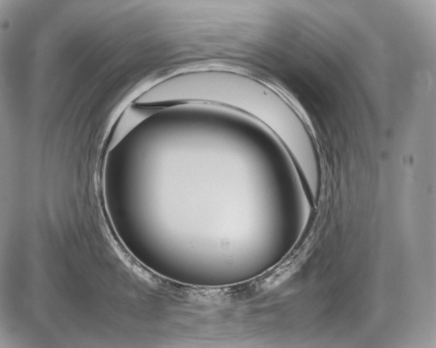 X0000086080813200704202149