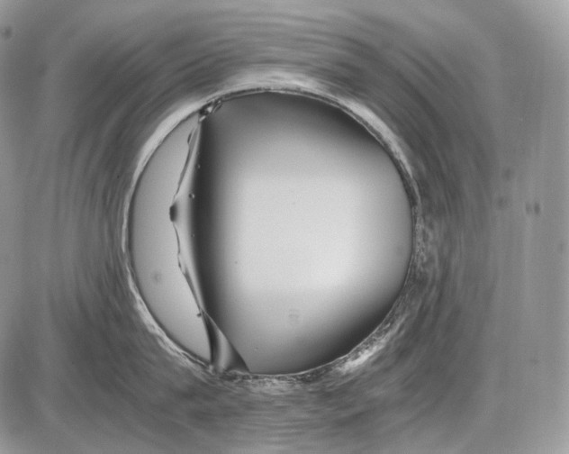 X0000086080815200704202149