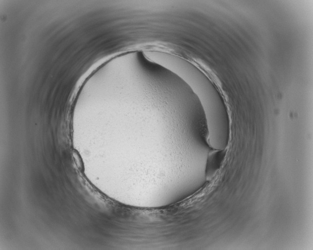 X0000086080816200704202149