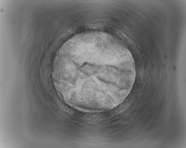 X0000086080817200704202149