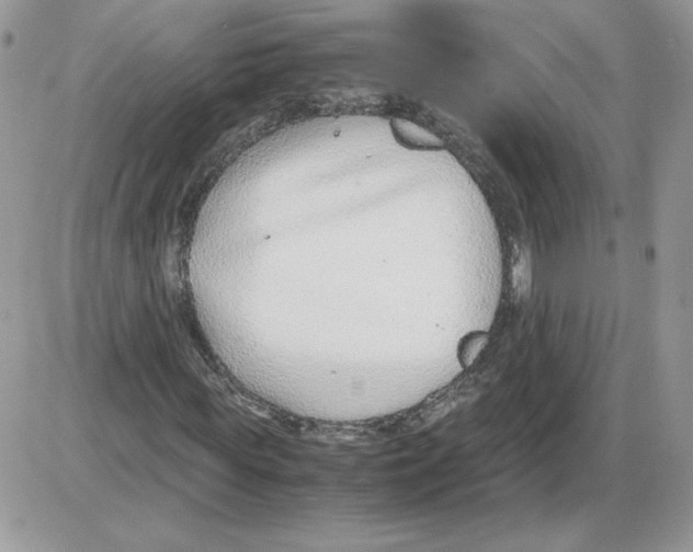 X0000086080819200704202149