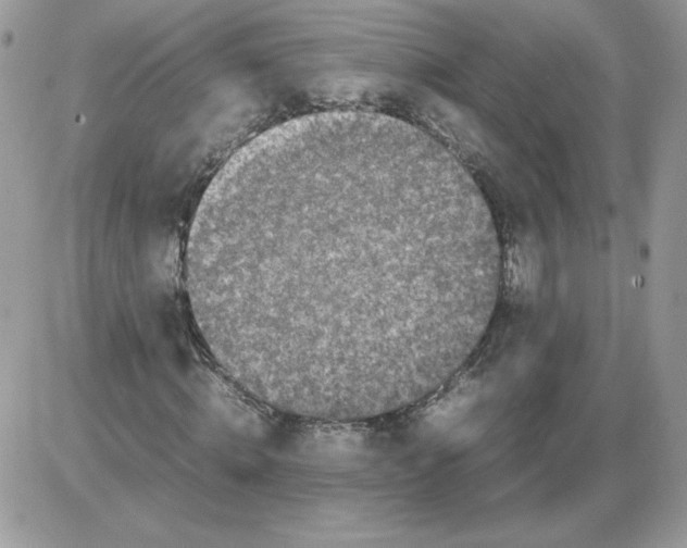 X0000086080820200704202149