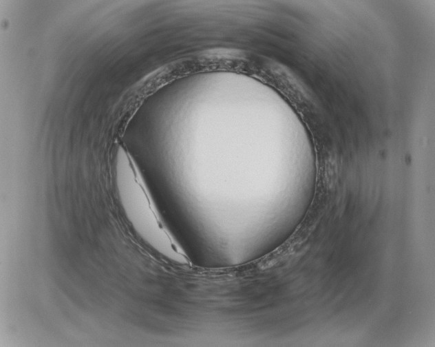 X0000086080821200704202149