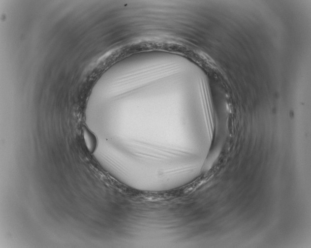 X0000086080822200704202149