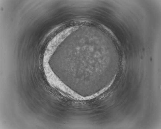 X0000086080823200704202149