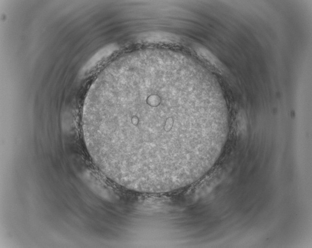 X0000086080824200704202149