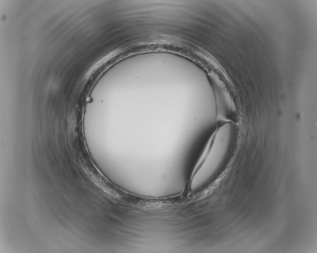 X0000086080826200704202149