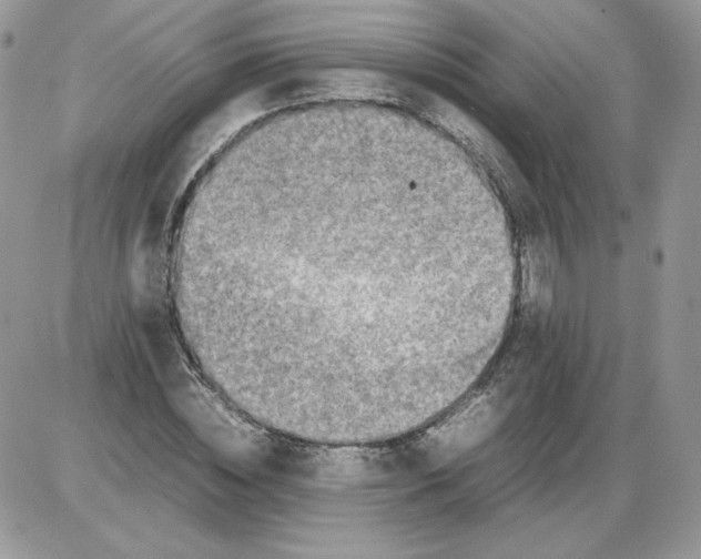 X0000086080828200704202149