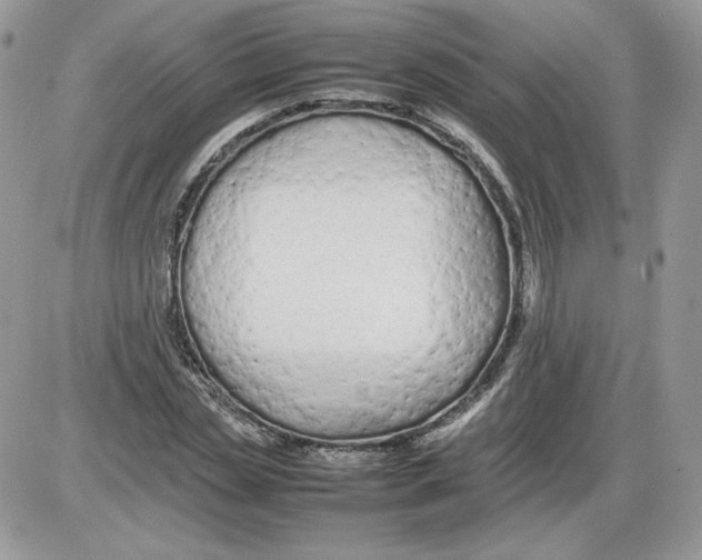 X0000086080829200704202149