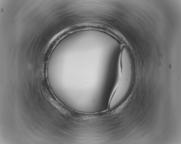 X0000086080830200704202149